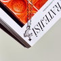Heliophilia Silver Collar Space Plata y Blanco